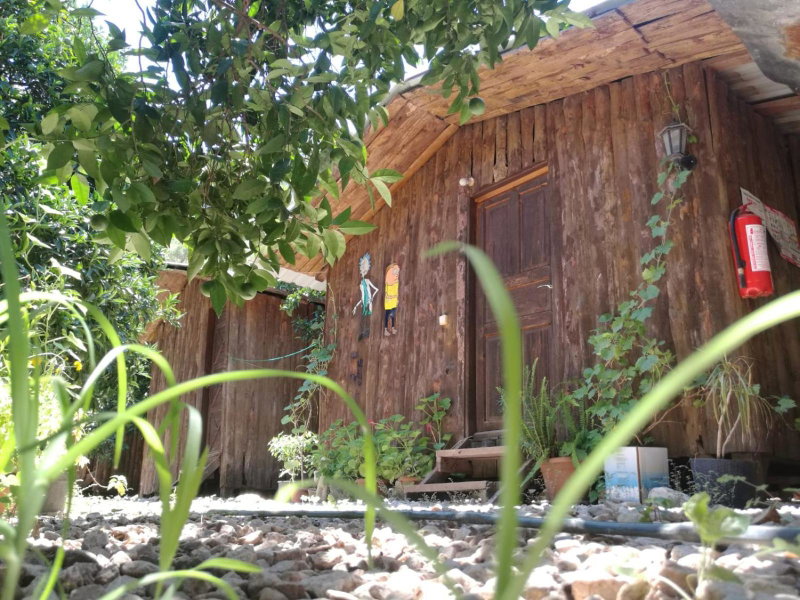 Olympos Yakamoz Pansiyon, Olympos, Turkey