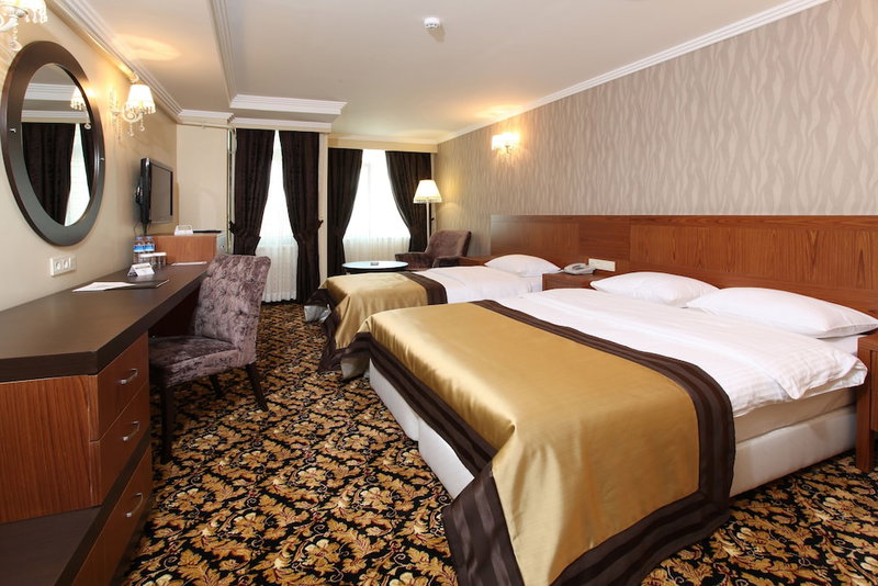 Arya Hotel Business Deluxe, Adapazari, Turkey