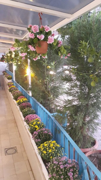Adana City Boutique Hotel, Adana, Turkey