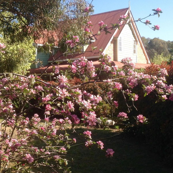 Hawk's Nest Bed & Breakfast, Bathurst, Australia