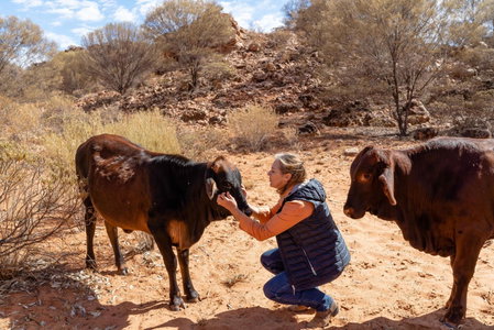 Ooraminna Homestead, Alice Springs, Australia