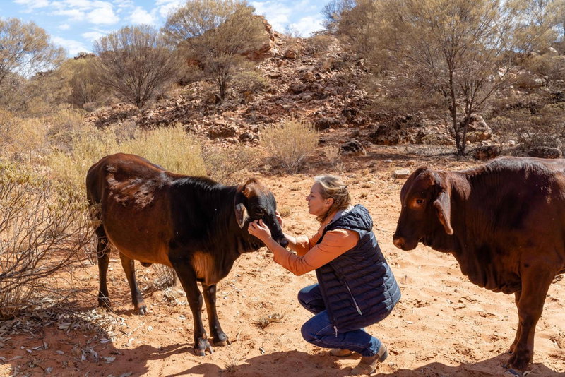 Ooraminna Homestead, Alice Springs, Australia