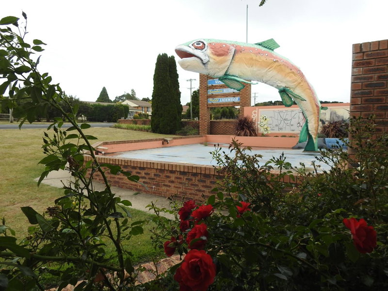 Big Trout Motel, Oberon, Australia