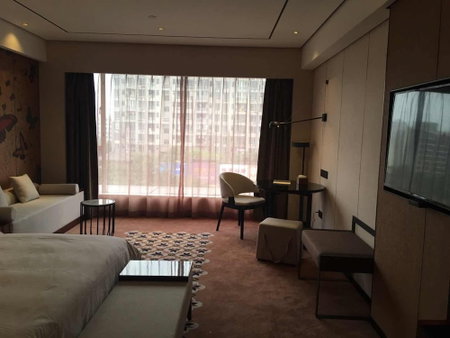 Guangzhou Paco Hotel - Dongpu Teemall, Guangzhou, China
