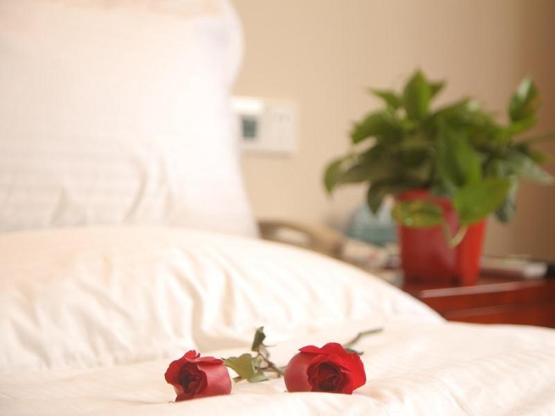 GreenTree Inn HeNan ShangQiu Normal College WenhuaWestRoad Business Hotel, Shangqiu, China