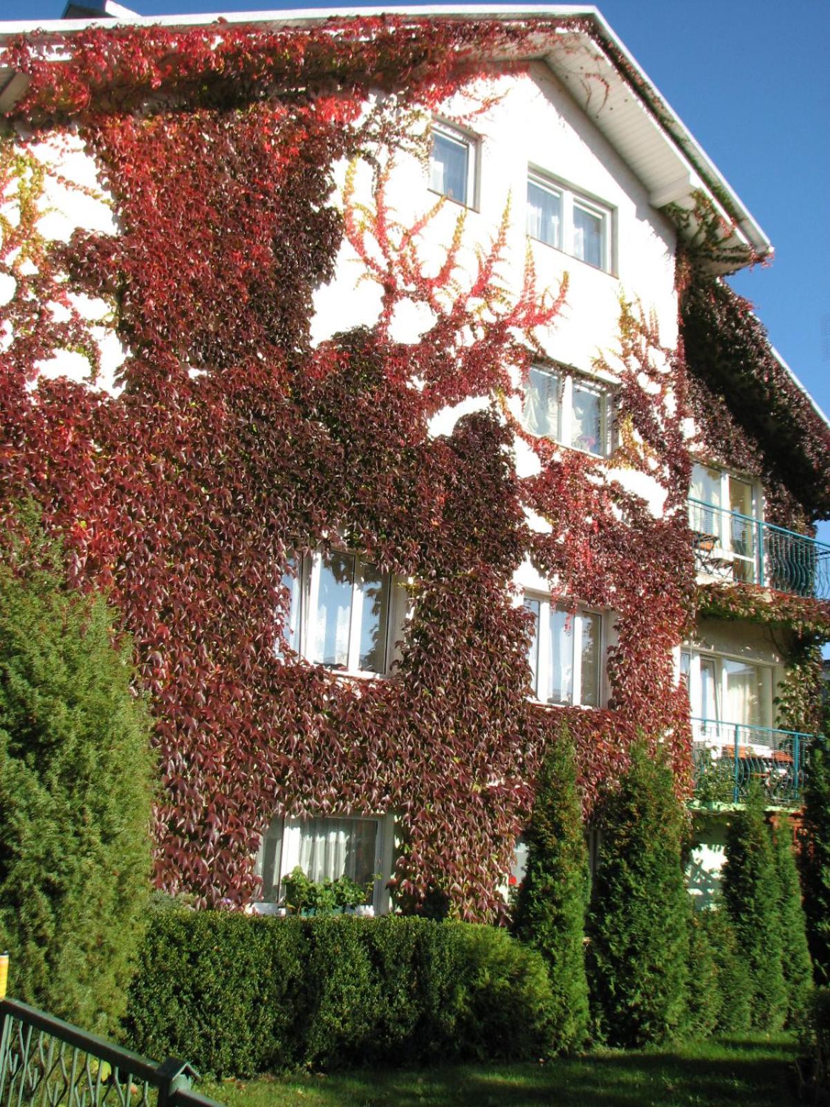 Hotel · Dom Wypoczynkowy ANNA - pobyty również B&B, Kołobrzeg