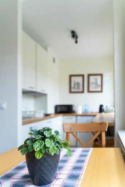Apartament Sandomierski, Sandomierz, Poland