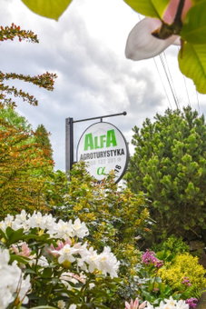 Agroturystyka Alfa, Bystra, Poland