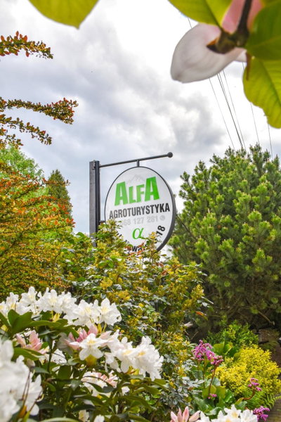 Agroturystyka Alfa, Bystra, Poland