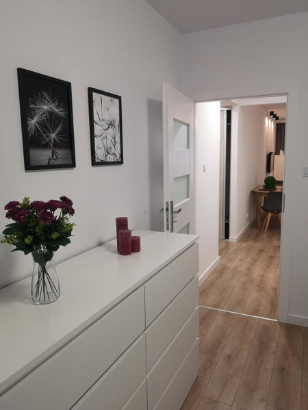 Apartament Marcella, Gorzów Wielkopolski, Poland