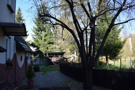 WILLA Jugowice, Jugowice, Poland