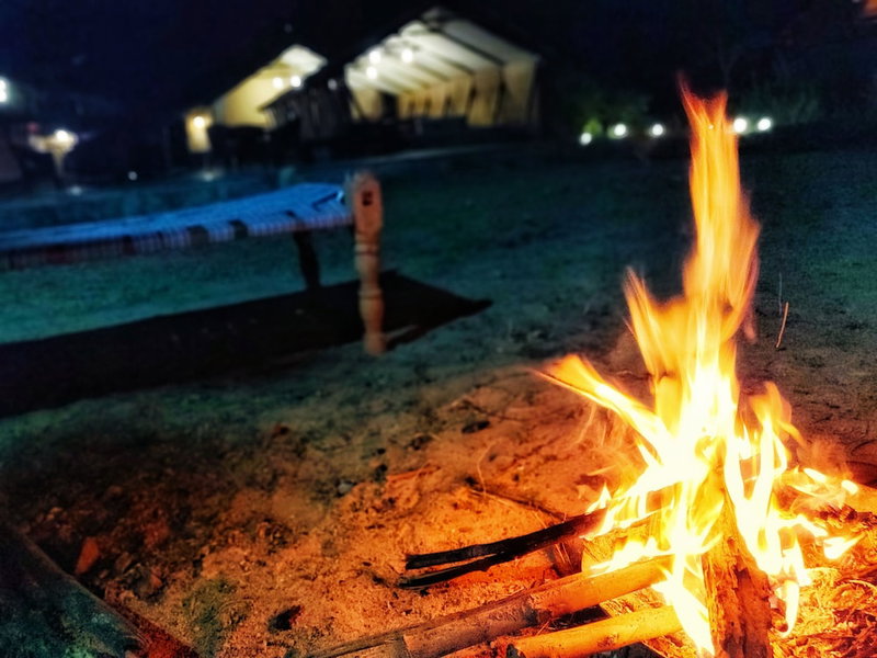 Maati Jungle Lodge, Manpur, India