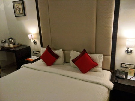 Landmark Hotel, Raipur, India