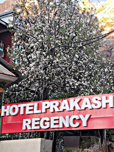 Hotel Prakash Regency Sangla, Sangla, India