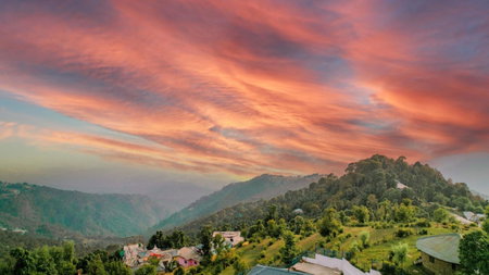 Aliza Inn And Suites By SRS Hotels, Dharamshala, India