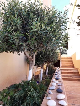 Toulipa Rooms, Agia Ermioni, Greece