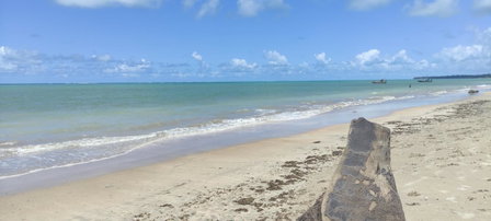 Sonho Nosso, Maragogi, Brazil