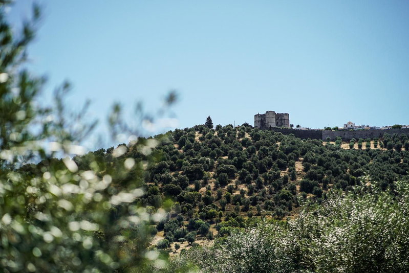 Casas de Santa Rita, Évora Monte, Portugal