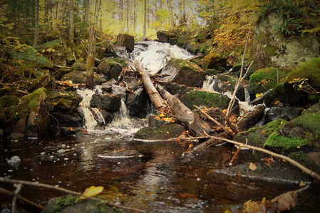 Bois Rond Expérience, Saguenay, Canada