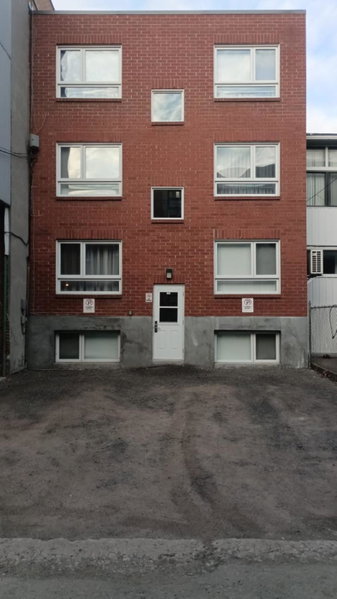 The Santamaria Golden Palms Studio by Den Stays, Montréal, Canada