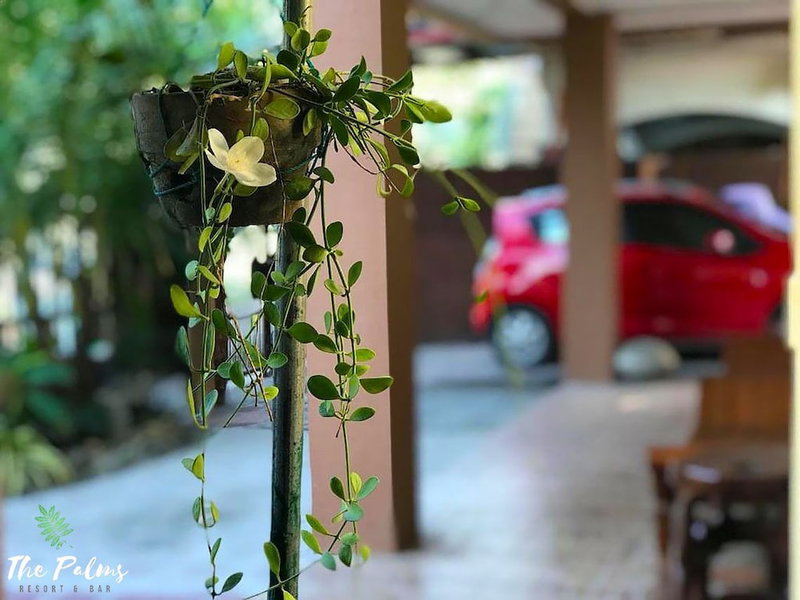 The Palms Resort & Bar, San Narciso, Philippines