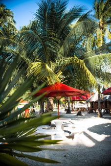 Sipaway Island Resort Inc Former Whispering Palms Resort, San Carlos, Philippines