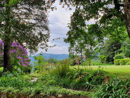 Lind End Guest Farm, Haenertsburg, South Africa