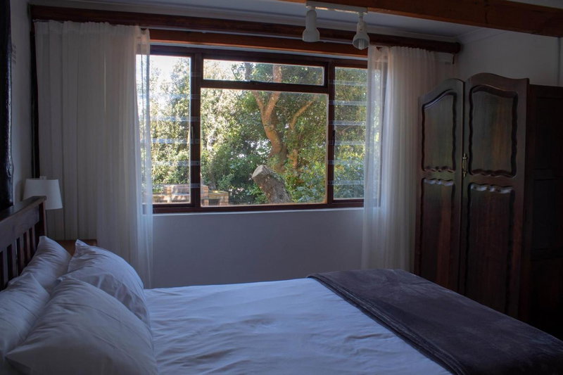 Melkboom, Franskraal, South Africa