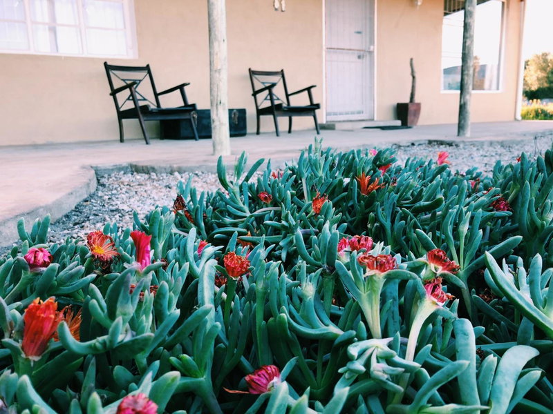 Die Lemoenhuis, Calvinia, South Africa