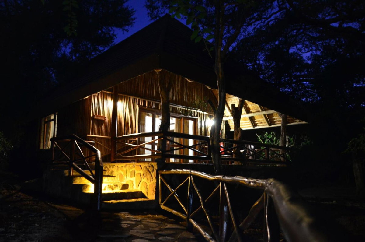 Hotel · Moholoholo Forest Camp, Hoedspruit
