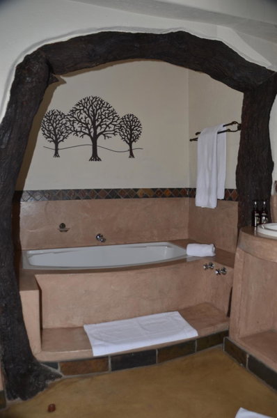 Moholoholo Forest Camp, Hoedspruit, South Africa