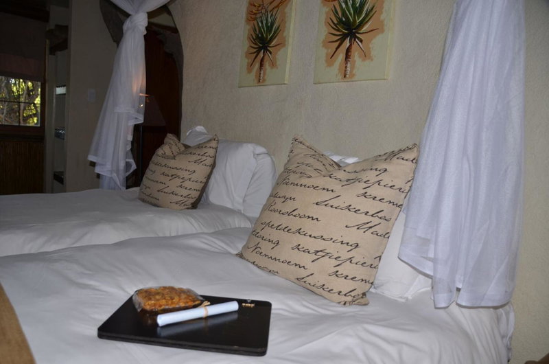 Moholoholo Forest Camp, Hoedspruit, South Africa