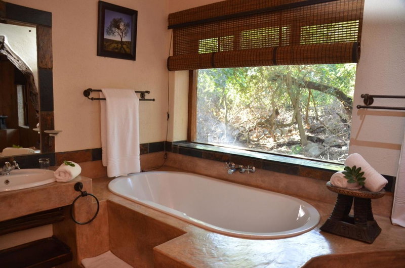 Moholoholo Forest Camp, Hoedspruit, South Africa