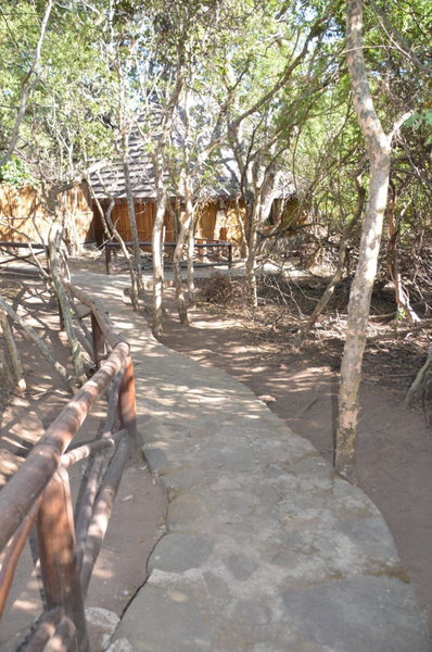 Moholoholo Forest Camp, Hoedspruit, South Africa
