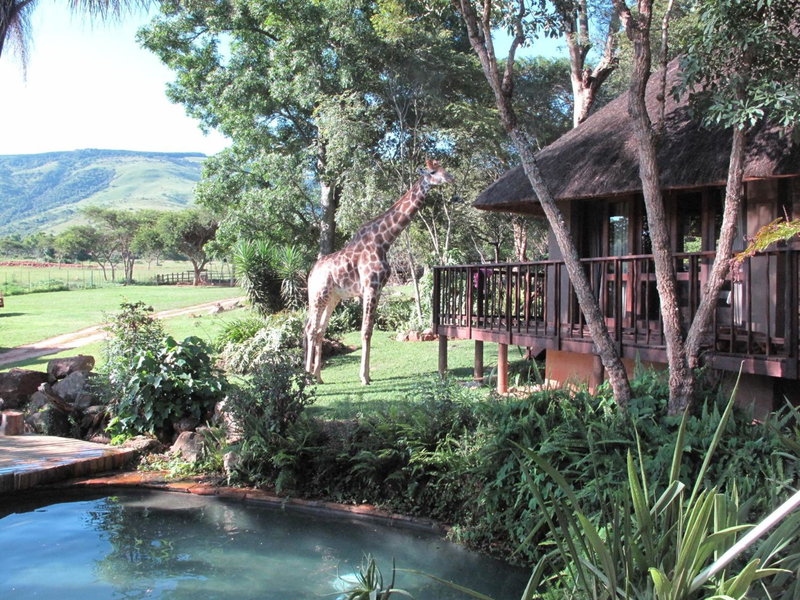 Caracal Lodge, Nelspruit, South Africa