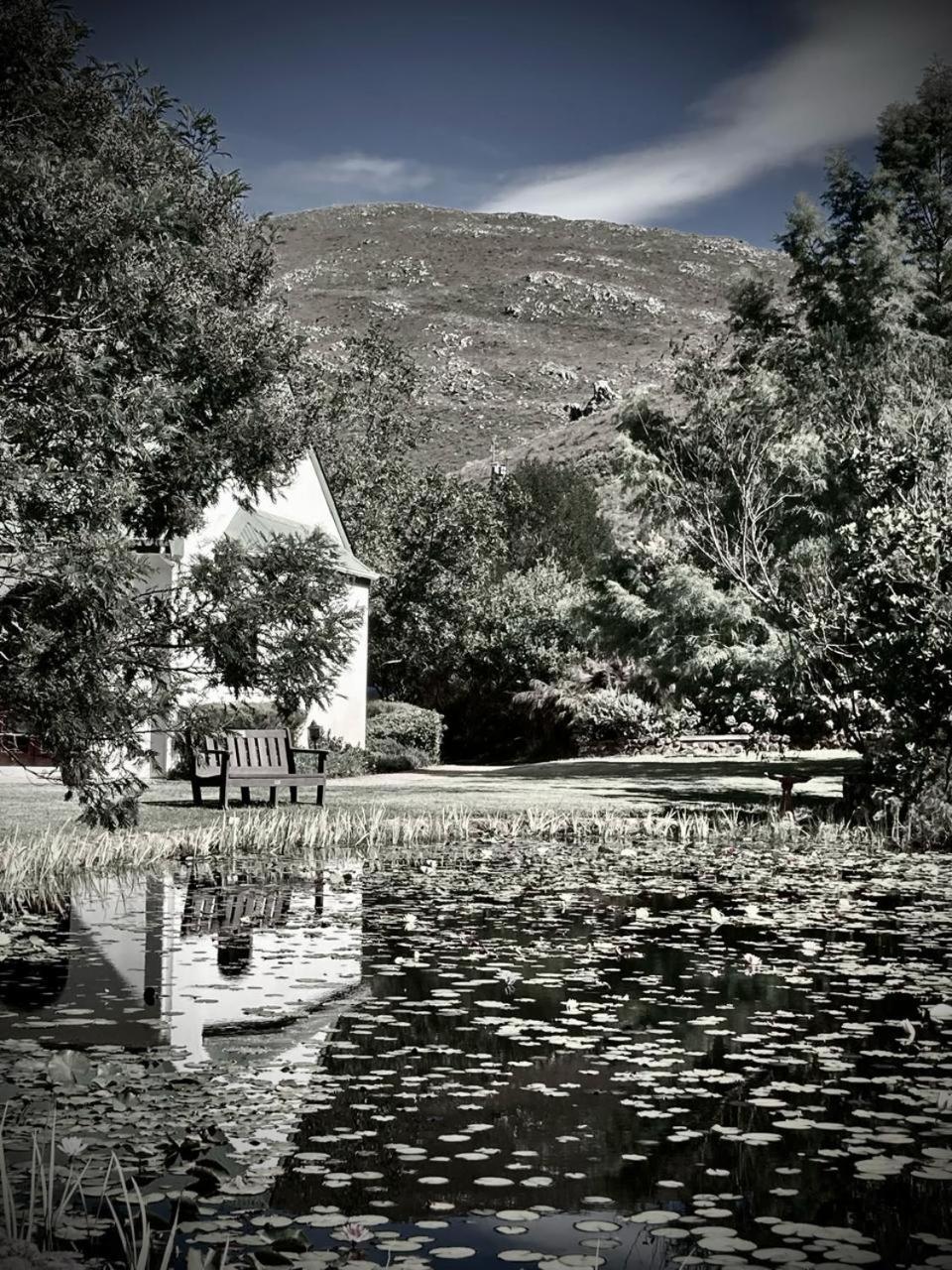 The Volmoed Trust, South Africa