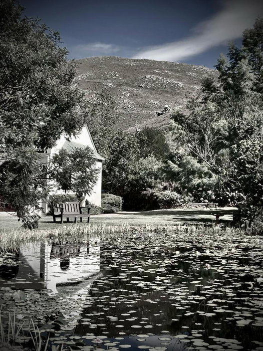 The Volmoed Trust, Hermanus, South Africa