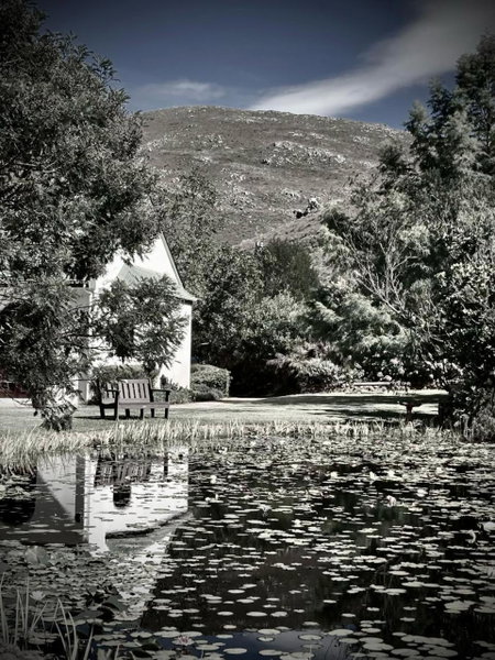 The Volmoed Trust, Hermanus, South Africa