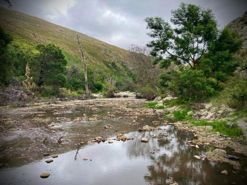 The Volmoed Trust, Hermanus, South Africa