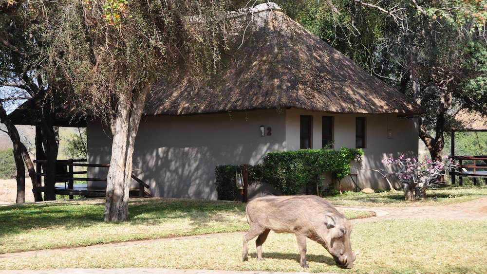 Nyati Safari Lodge, South Africa