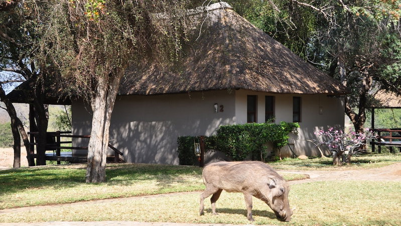 Nyati Safari Lodge, Hoedspruit, South Africa