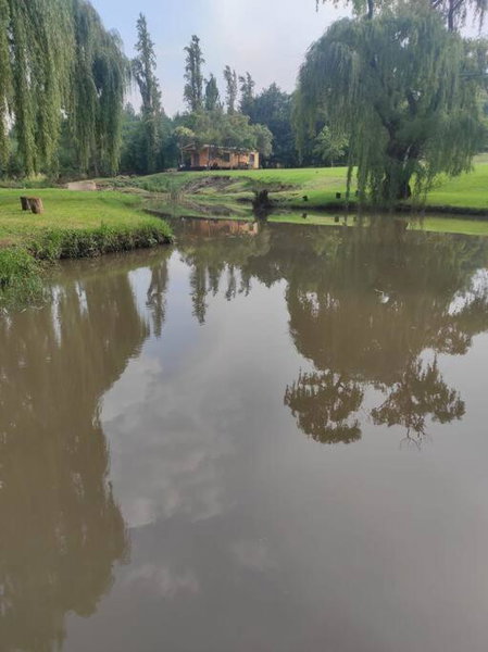 River Cabin, Roodepoort, South Africa
