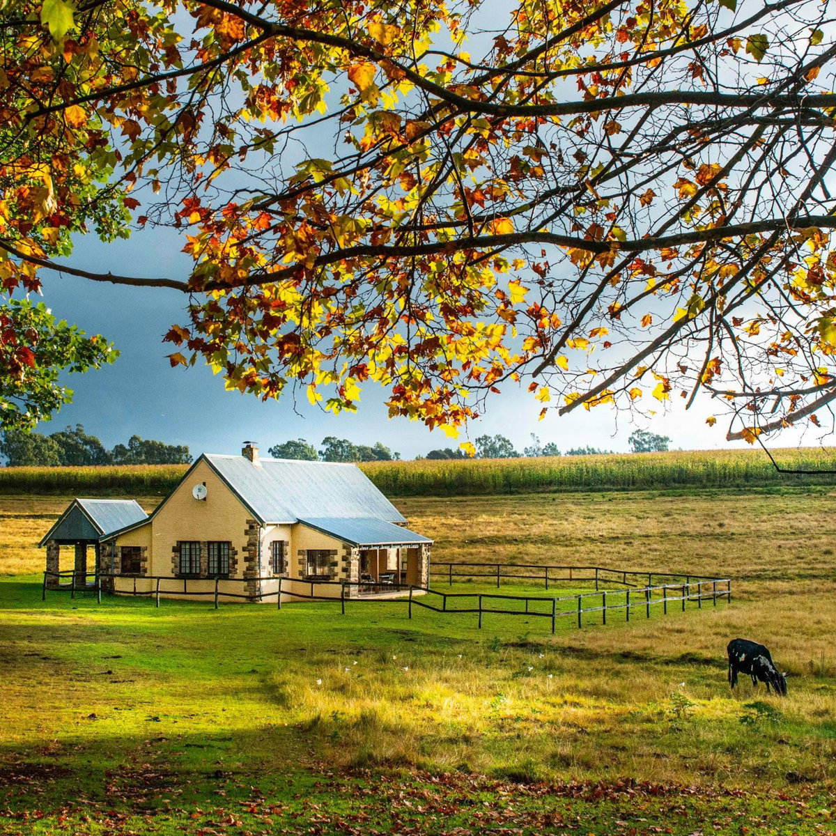 Hotel · The FarSide Dam Cottage, Nottingham Road