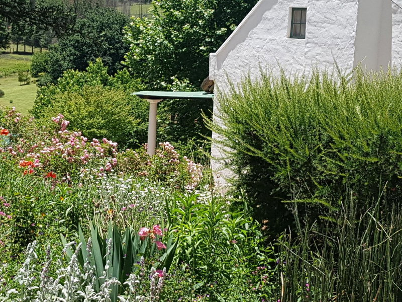 Rosebury Cottage, Underberg, South Africa