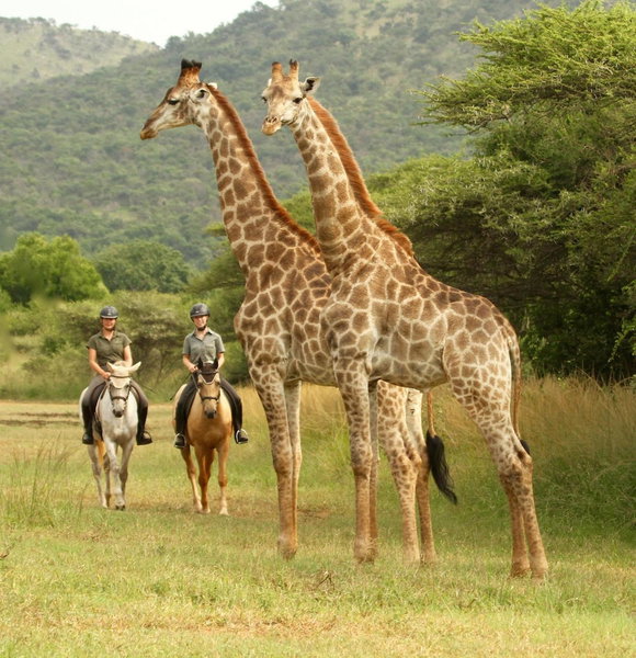 Pakamisa Private Game Reserve, Pongola, South Africa