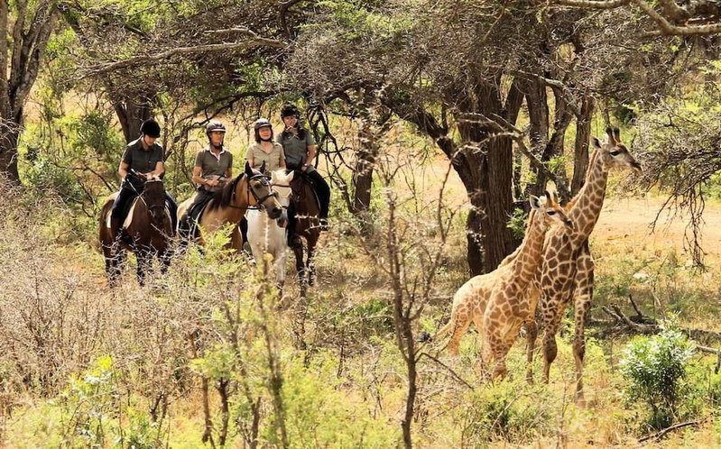 Pakamisa Private Game Reserve, Pongola, South Africa