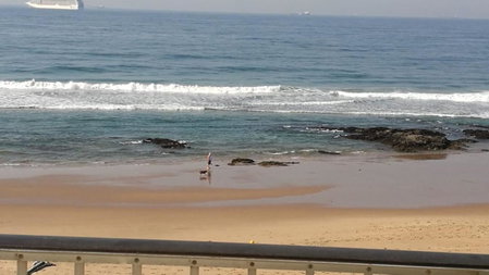 8 Oyster, Durban, South Africa