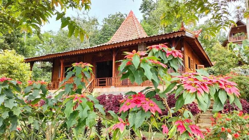 MUNDUK RETREAT - Pondok Pekak Lelut, Munduk, Indonesia