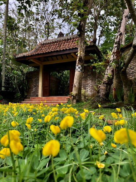Rumah Boedi Private Residence Villa, Borobudur, Indonesia