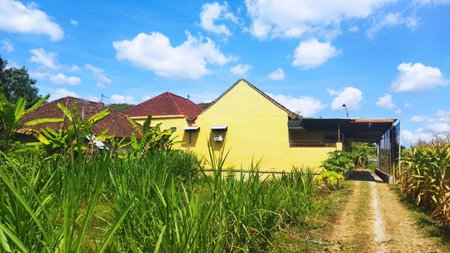 Bougenville Homestay, Lembar, Indonesia